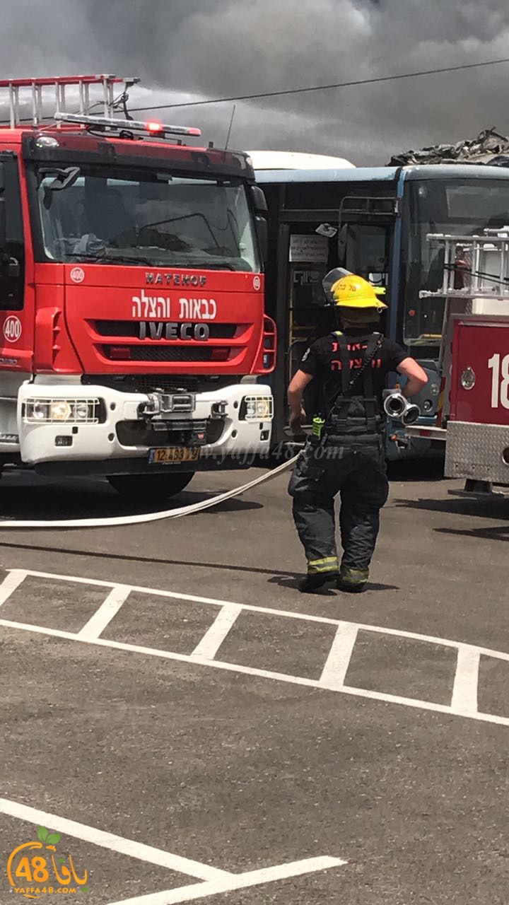 firbus eastyaffa (18).jpg